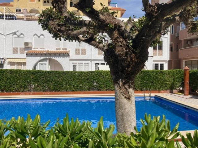 Casa Torrevieja La Mata Villa Kültér fotó